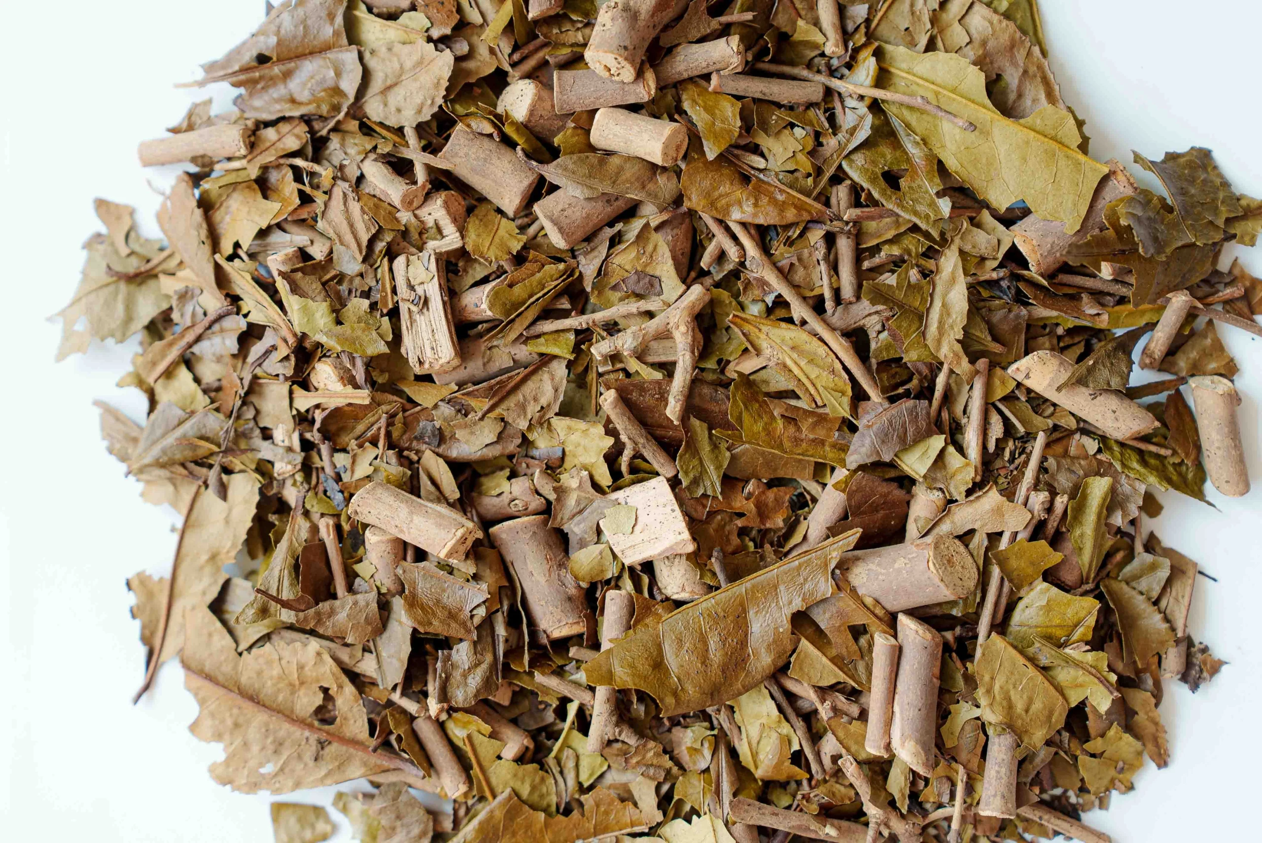 Tea People Companion - Book 1 - Image 4
