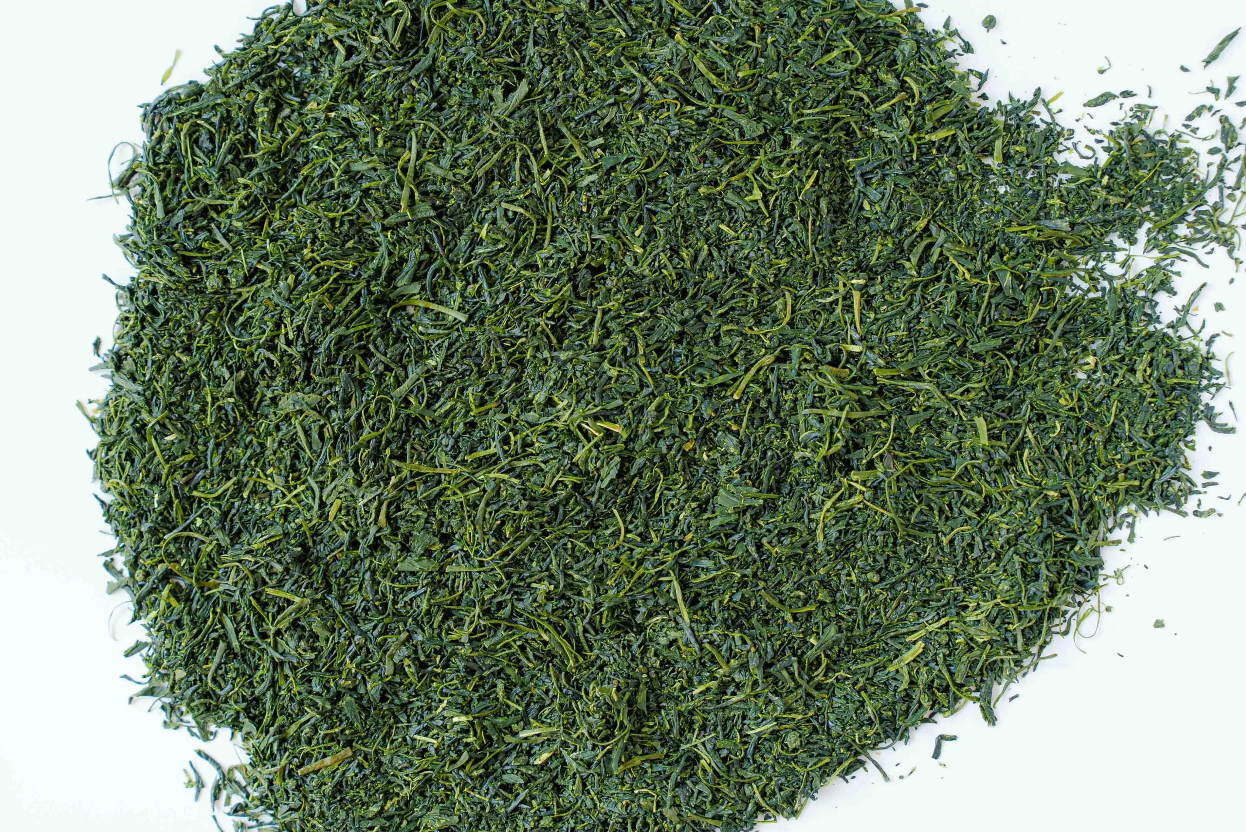Tea People Companion - Book 1 - Image 2
