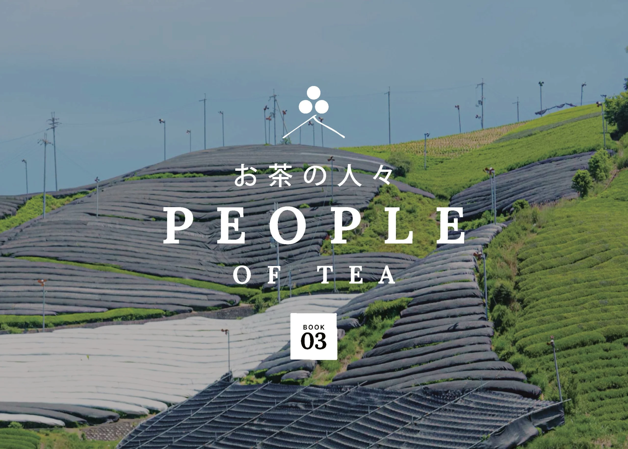 Tea People Companion - Book 3