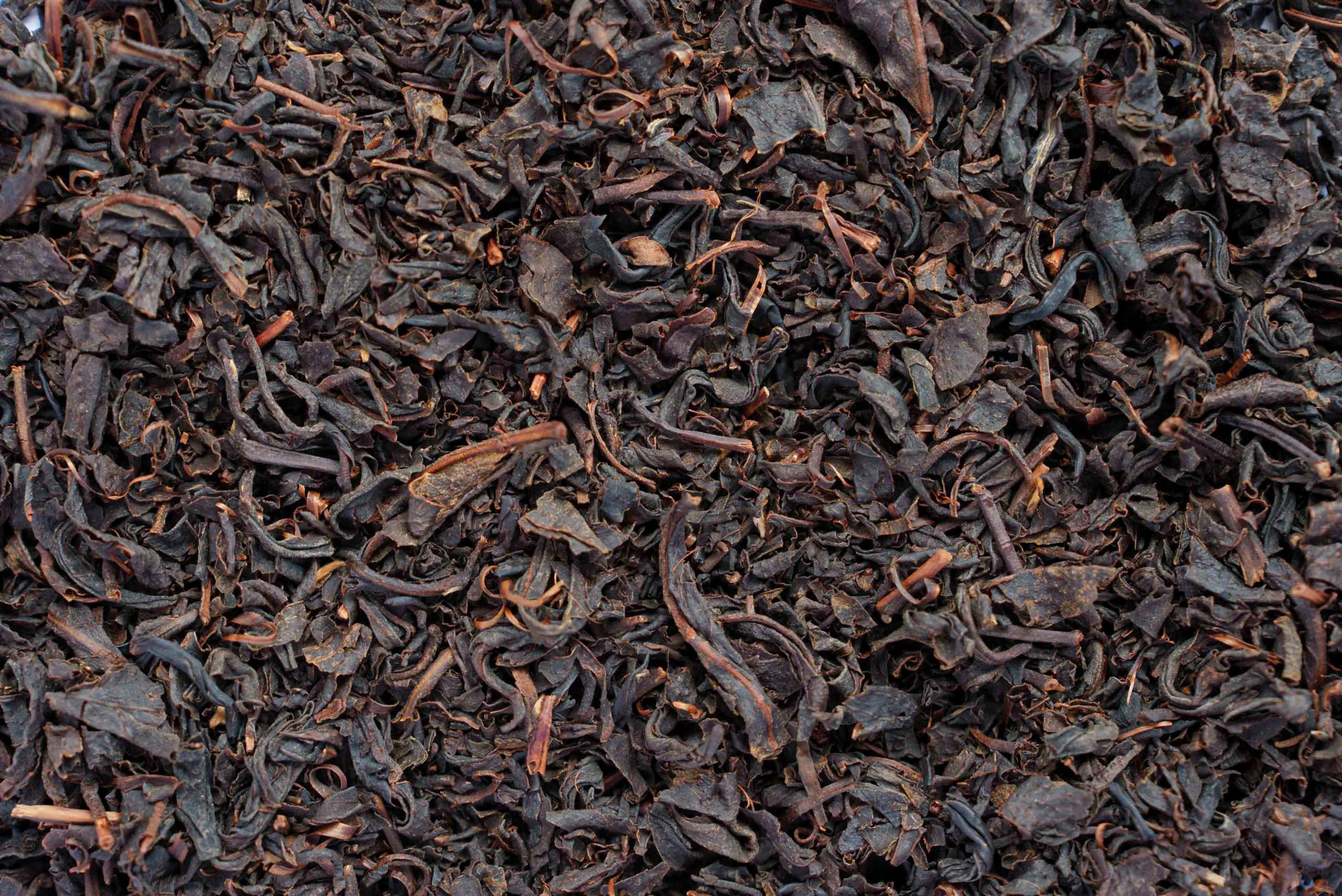 Tea People Companion - Book 3 - Image 4