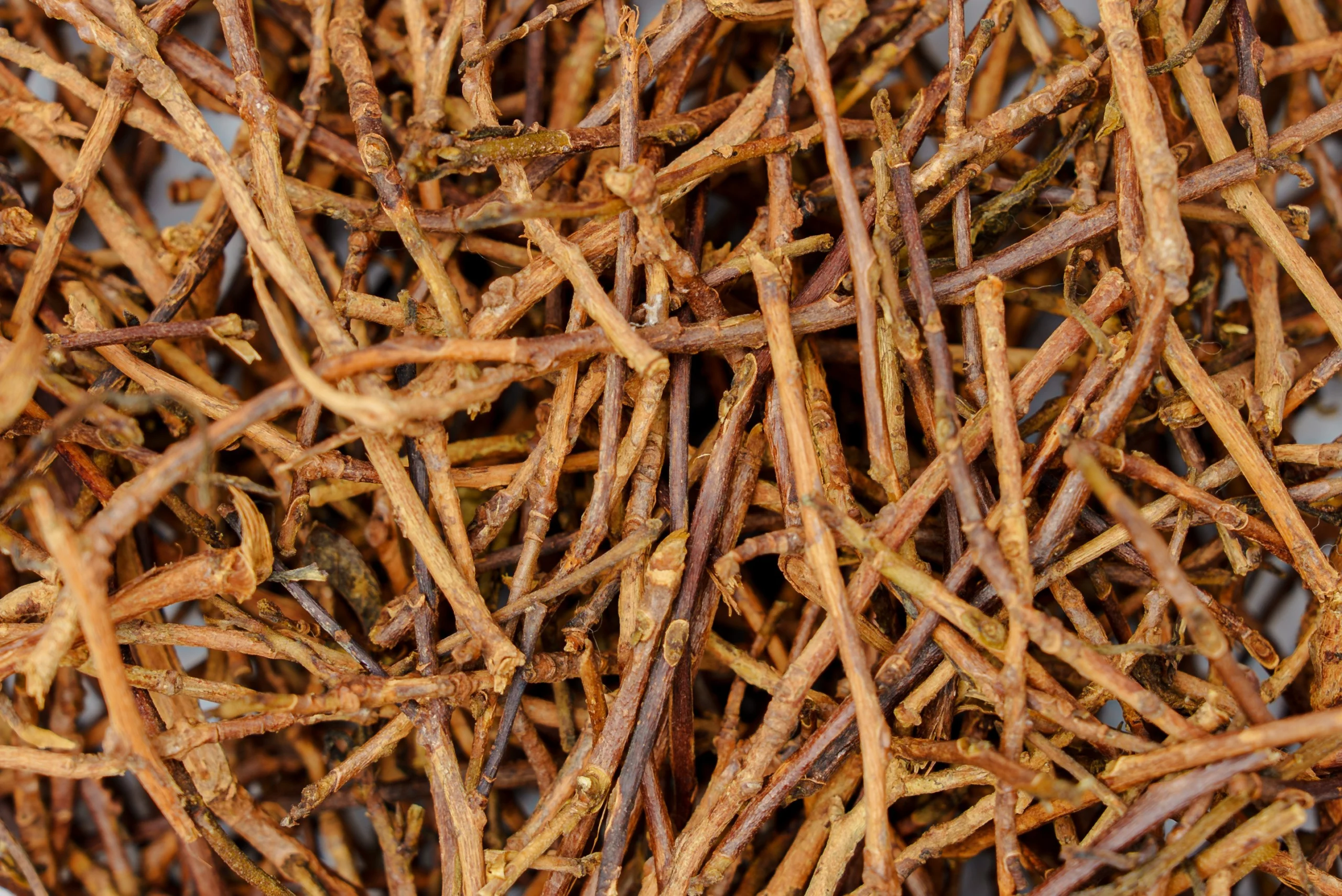 Tea People Companion - Book 5 - Image 4
