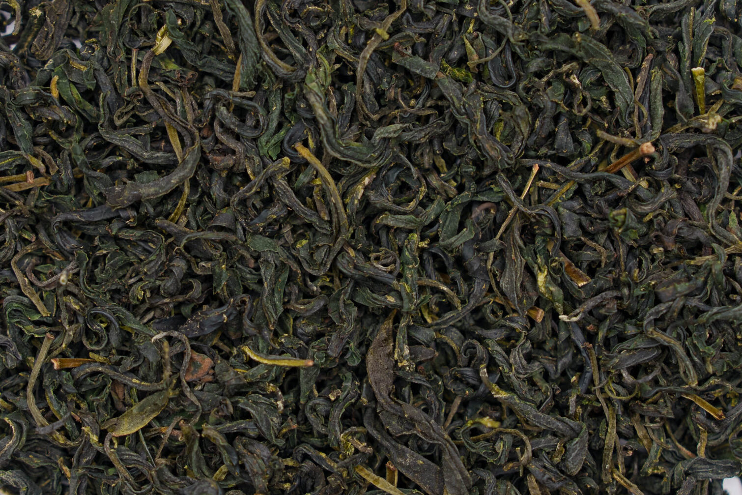 Tea People Companion - Book 6 - Preorder
