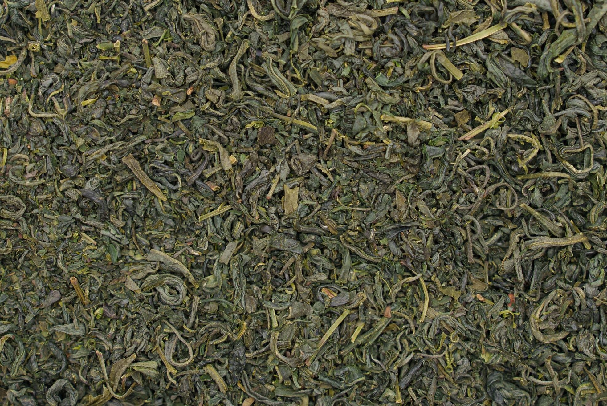 Tea People Companion - Book 6 - Preorder - Image 3